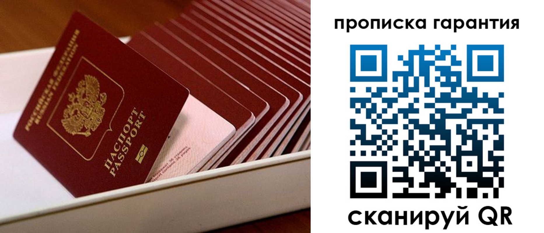 прописка поиск в Хабаровском крае